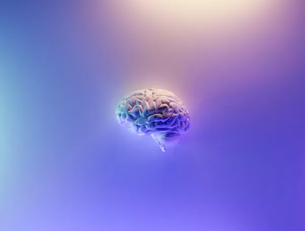 purple brain learning fast facts